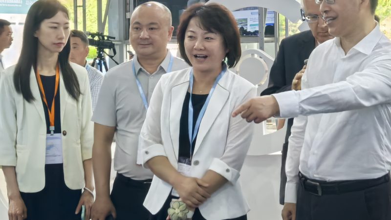 工程机械原厂配件，如何甄别真伪与选择代理？**
